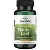 SWANSON FS Plantain (Babka zwyczajna) 60 kaps