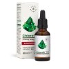 AURA HERBALS Chlorophyll from white mulberry (30 ml / 1 fl. oz.)