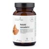 AURA HERBALS Reishi spores