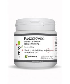 KENAY Boswellia Casperome Indena Phytosome (300 caps)