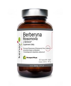 KENAY Phytosome Berberine with Berbevis (60 caps)