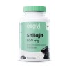 Shilajit