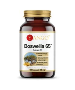 YANGO Boswellia 65 (90 caps)